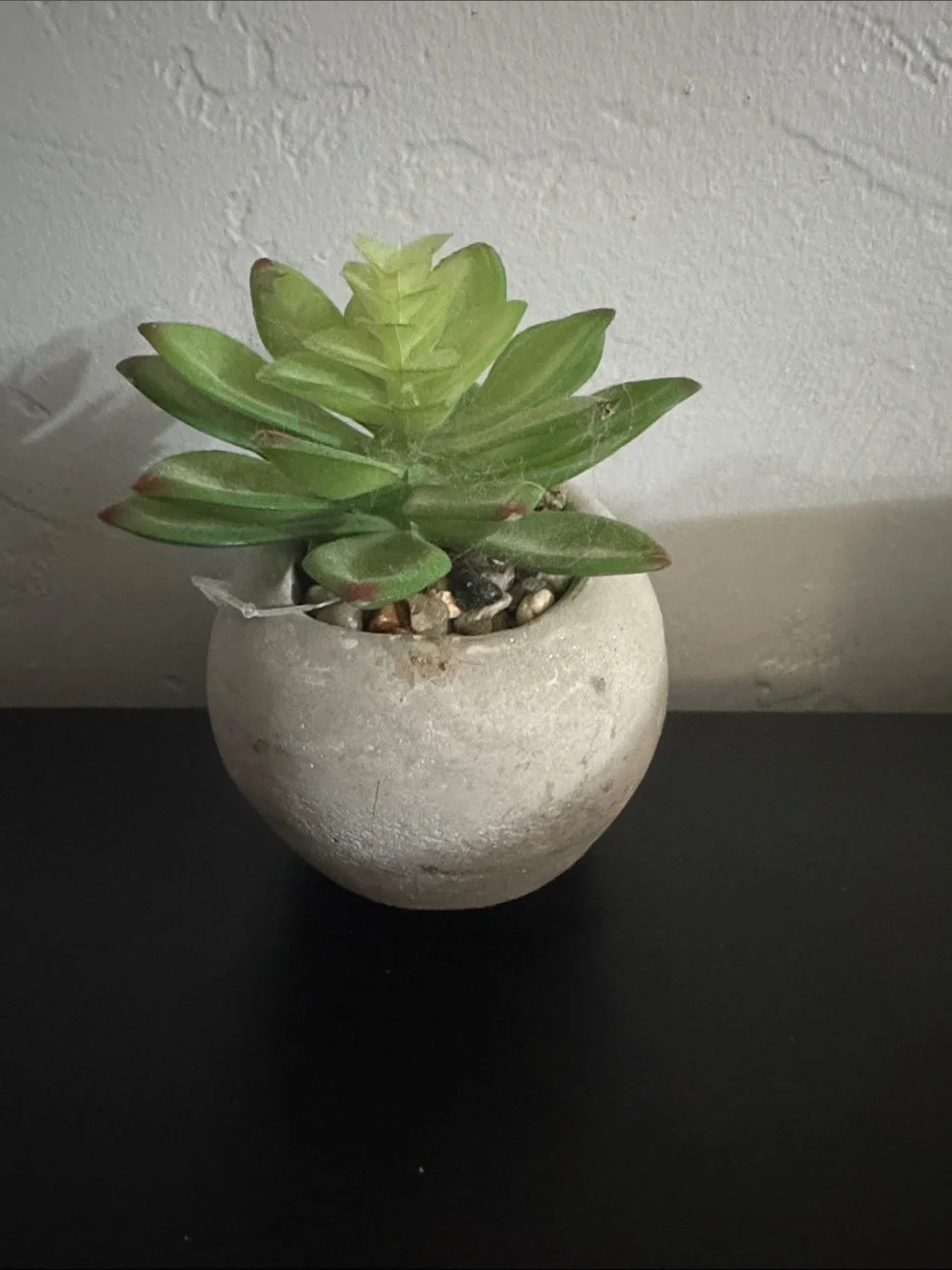 Gray Skull Planter with Green Faux Succulent